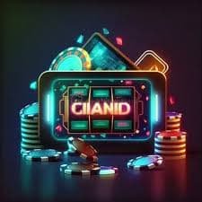 btd333